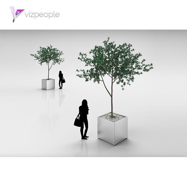 Tree 3D Model - دانلود مدل سه بعدی درخت - آبجکت سه بعدی درخت - دانلود مدل سه بعدی fbx - دانلود مدل سه بعدی obj -Tree 3d model free download  - Tree 3d Object - Tree OBJ 3d models - Tree FBX 3d Models - 